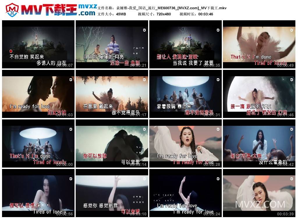 袁娅维-我爱_国语_流行_ME600736